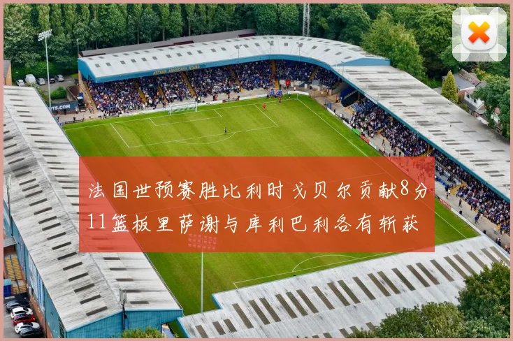 法国世预赛胜比利时戈贝尔贡献8分11篮板里萨谢与库利巴利各有斩获